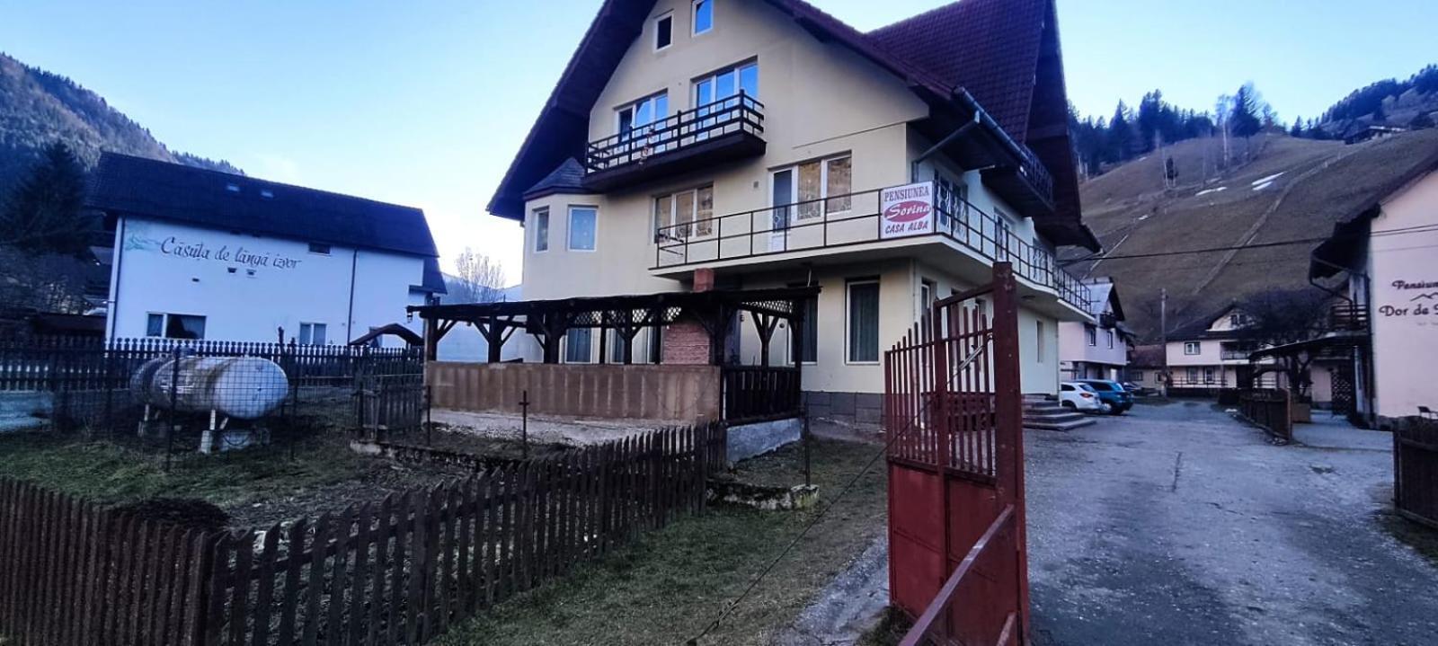 Pensiunea Sorina Casa Alba Моечу де Жос Екстериор снимка