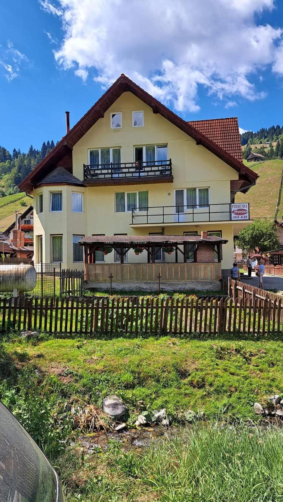 Pensiunea Sorina Casa Alba Моечу де Жос Екстериор снимка